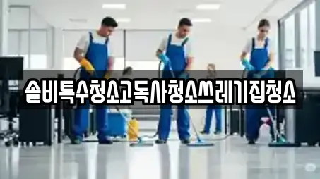 솔비특수청소고독사청소쓰레기집청소