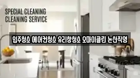 입주청소 에어컨청소 유리창청소 오마이클린 논산직영
