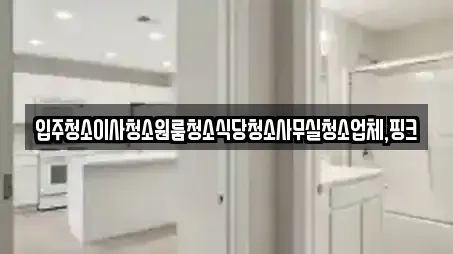 입주청소이사청소원룸청소식당청소사무실청소업체,핑크