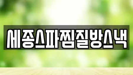 세종스파찜질방스낵