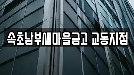 대출 업체 가이드 7곳 (속초시 노학동)