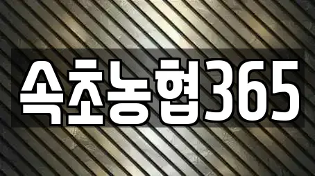 속초농협365