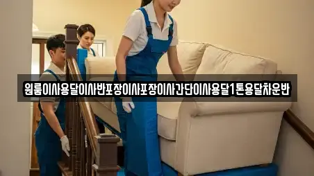 원룸이사용달이사반포장이사포장이사간단이사용달1톤용달차운반