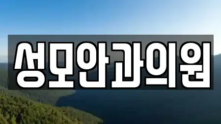 성모안과의원