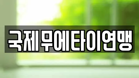 국제무에타이연맹