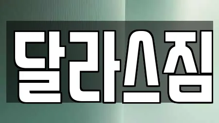 달라스짐