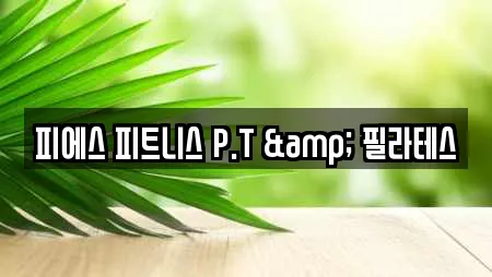 피에스 피트니스 P.T & 필라테스