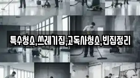 특수청소,쓰레기집,고독사청소,빈집정리