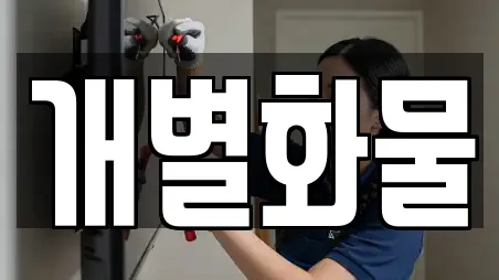 개별화물