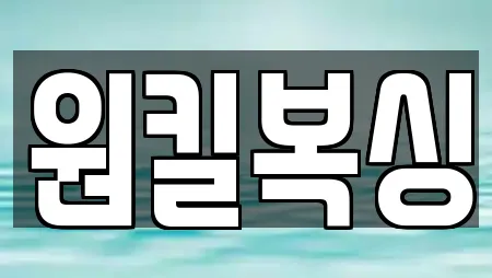 원킬복싱