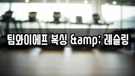 팀와이에프 복싱 & 레슬링