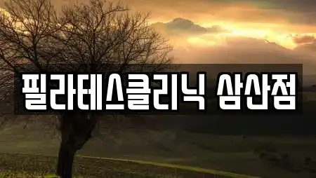 필라테스클리닉 삼산점