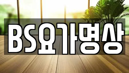 BS요가명상