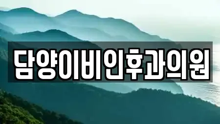 담양이비인후과의원