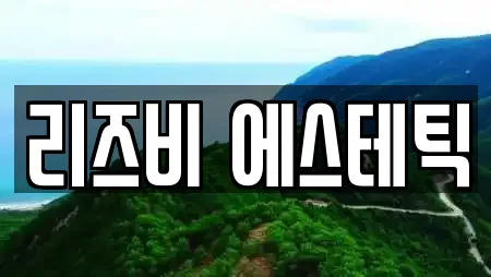 리즈비 에스테틱
