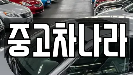 중고차나라