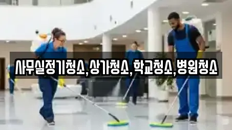 사무실정기청소,상가청소,학교청소,병원청소
