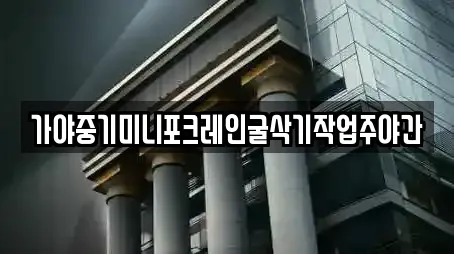 가야중기미니포크레인굴삭기작업주야간