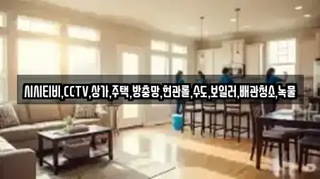 전남 가곡동 전문 상가청소,청소업체,청소,입주청소,사무실청소 업체