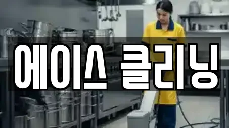 에이스 클리닝