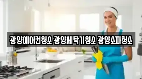 광양에어컨청소 광양세탁기청소 광양소파청소
