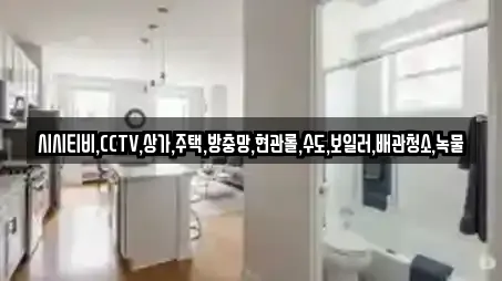 시시티비,CCTV,상가,주택,방충망,현관롤,수도,보일러,배관청소,녹물