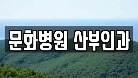 문화병원 산부인과