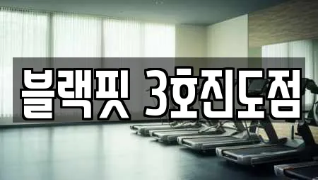 블랙핏 3호진도점