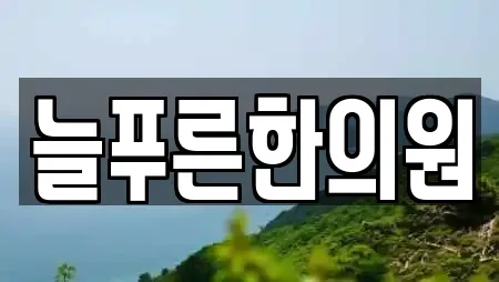 늘푸른한의원