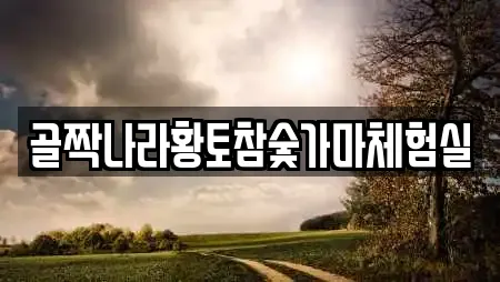 전라남도 입면 주변 스파 전문업체 3곳