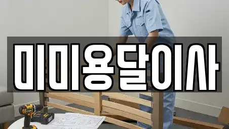 미미용달이사
