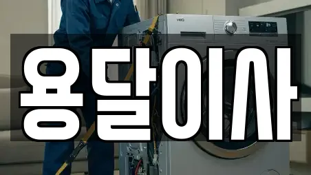 용달이사