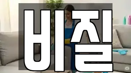 비질