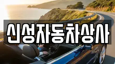 신성자동차상사
