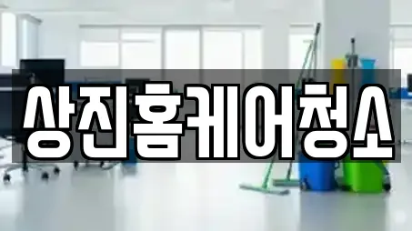 상진홈케어청소