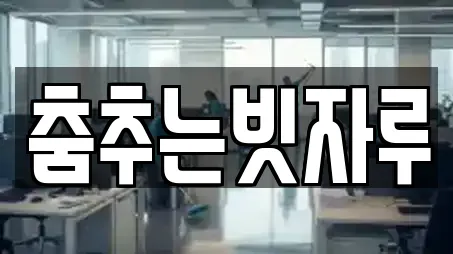 춤추는빗자루