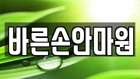 바른손안마원