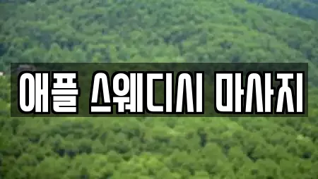 애플 스웨디시 마사지