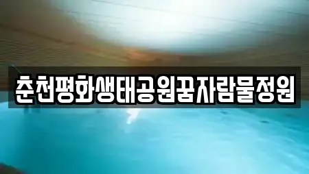춘천평화생태공원꿈자람물정원