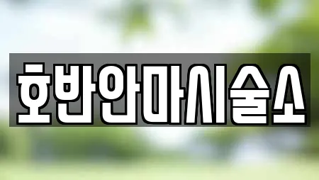 호반안마시술소