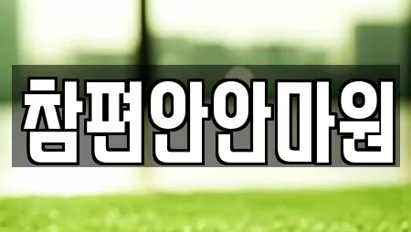 참편안안마원