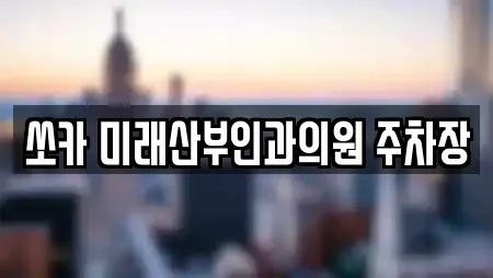 쏘카 미래산부인과의원 주차장