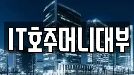 IT호주머니대부