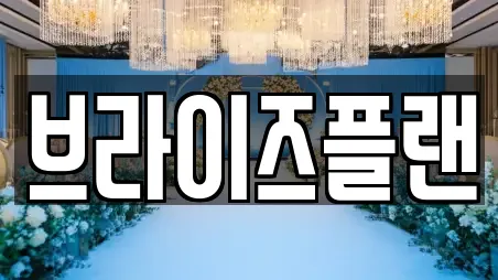 브라이즈플랜