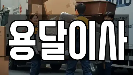 용달이사
