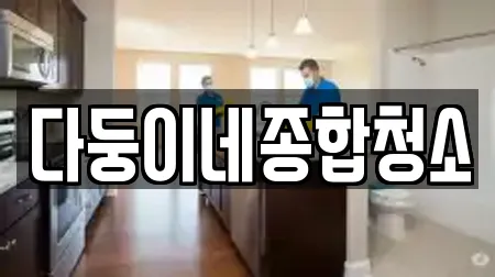 다둥이네종합청소