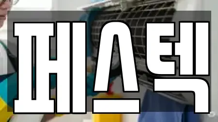 페스텍