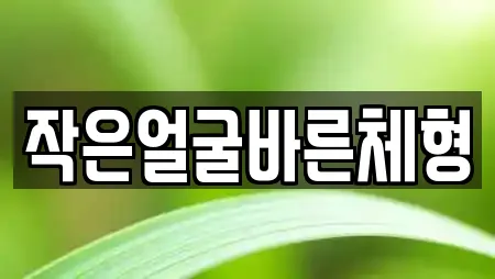작은얼굴바른체형