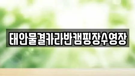 태안물결카라반캠핑장수영장