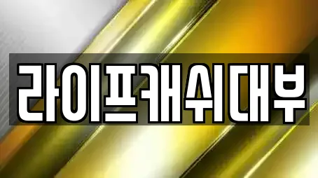 전당포 서비스 제공 6곳 (충북 강내면)